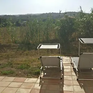 Les Vignes Et La Pinede Pres De La Saint-Tropez